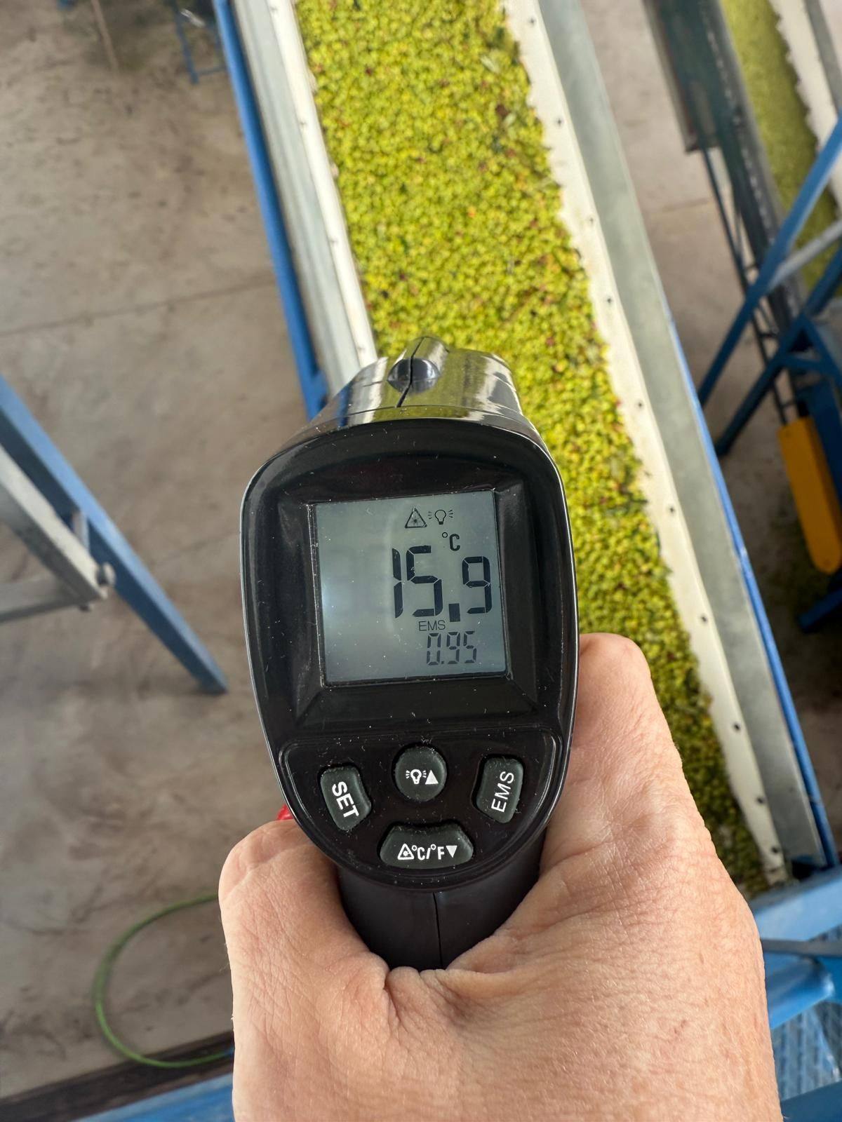 Temperature control at the mill