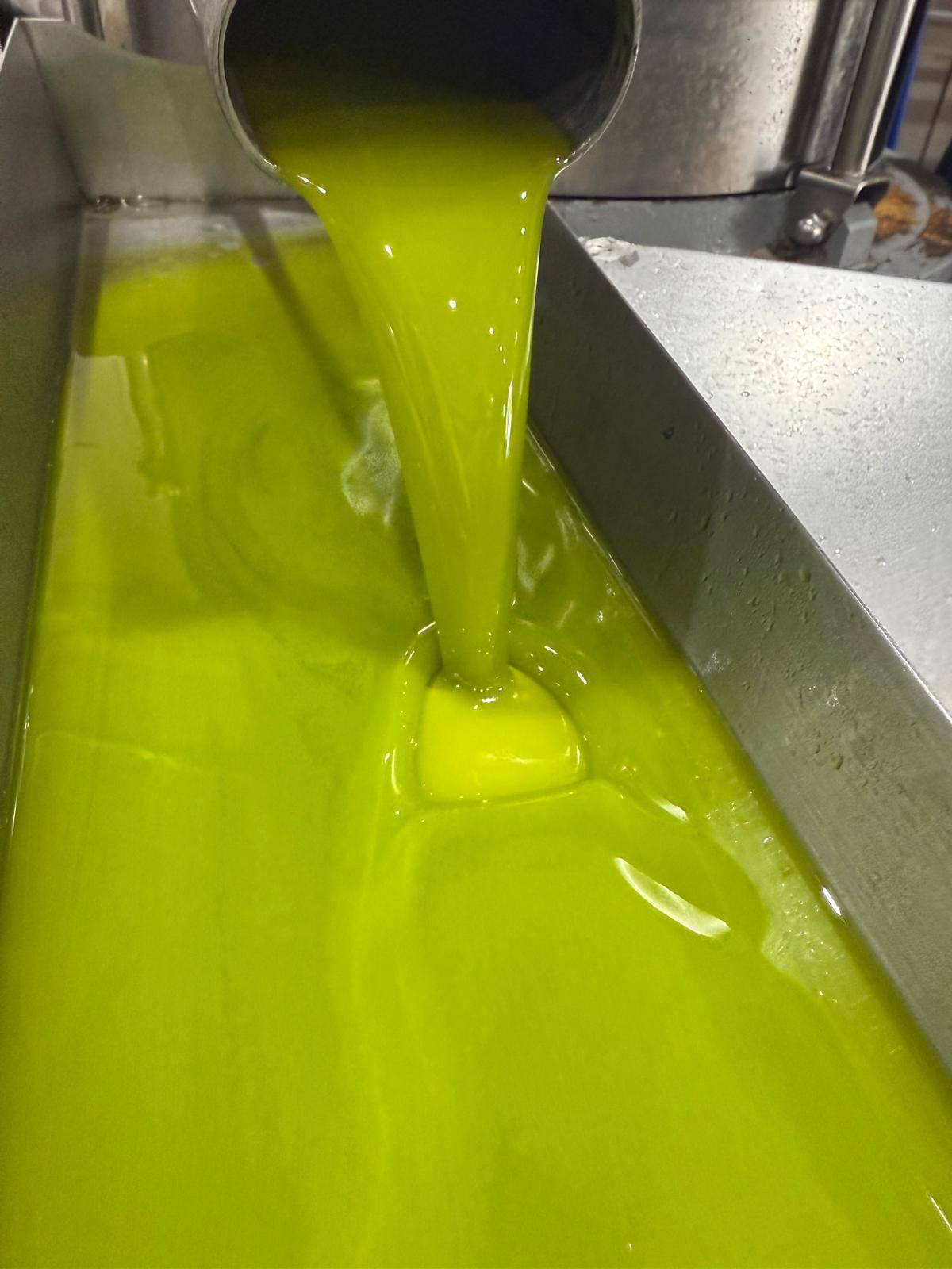 Fresh green oil flowing